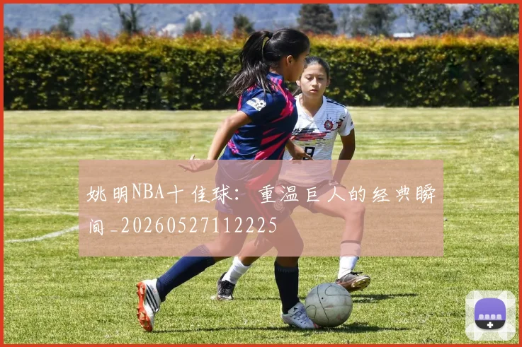 姚明NBA十佳球：重温巨人的经典瞬间_20260527112225